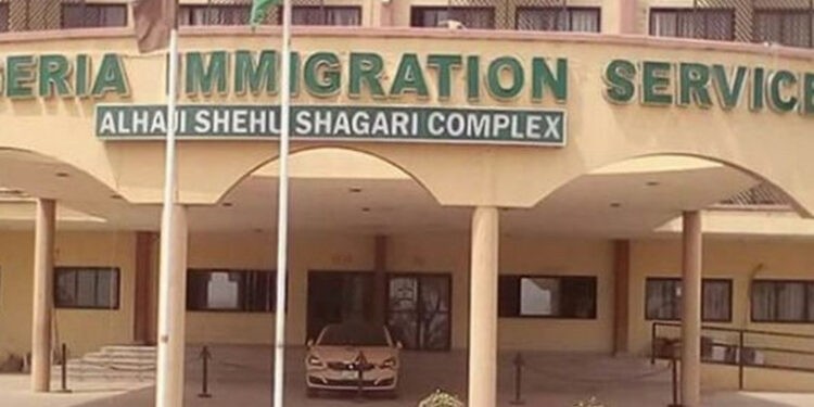Five Female Immigration Who Participated In Falz’s ‘Don’t Rush’ Challenge Punished With Redeployment To Borno, Yobe, Others