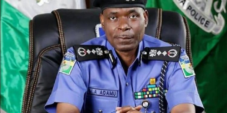 Court Awards N5m Damages Against Police, IGP For Brutalising Woman