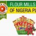 HSE Manager at Flour Mills of Nigeria Plc