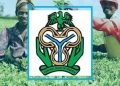 Apply For CBN 2021 Commercial Agriculture Credit Scheme (CACS) N200 billion Fund for Nigerians