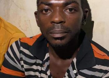 I Took To Kidnapping Because My Cattle Business Required Too Much Work—Bandit