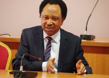 Witness Narrates How Shehu Sani Hurriedly Returned $25,000USD to ‘Victim