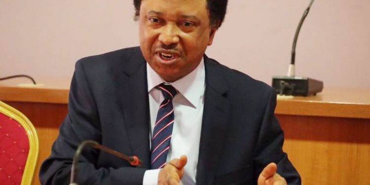 Witness Narrates How Shehu Sani Hurriedly Returned $25,000USD to ‘Victim
