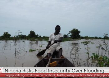 Nigeria Risks Food Insecurity Over Devastating Flooding