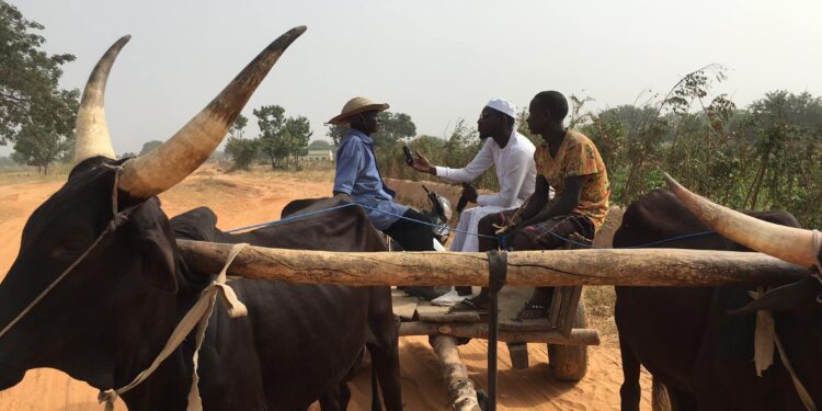 World Radio Day 2025: Expert Urges African Media to Prioritize Climate Journalism