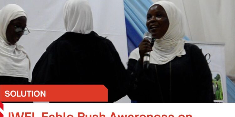 IWEI, Fable Push Awareness on Women’s Economic Empowerment in Kano