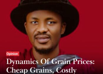 Dynamics Of Grain Prices: Cheap Grains, Costly Future