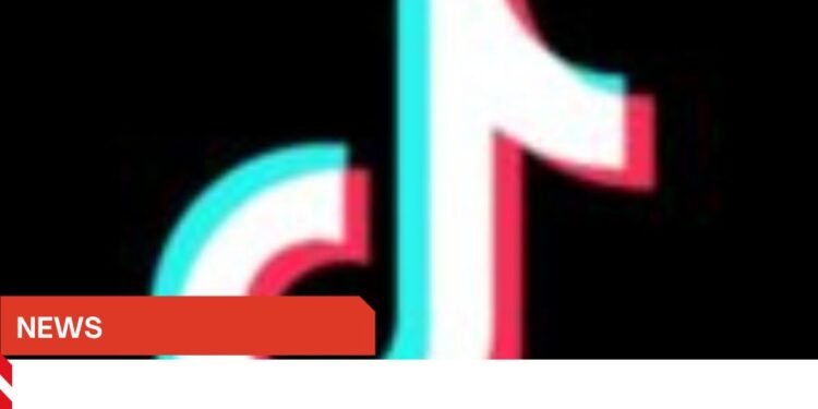 From TikTok to Jail: How Young Nigerians Are Landing in Police Net 