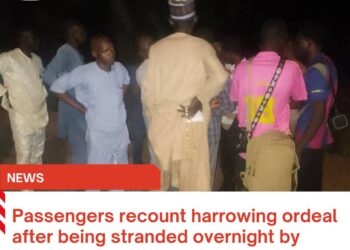 Passengers recount harrowing ordeal after being stranded overnight by Borno Express bus