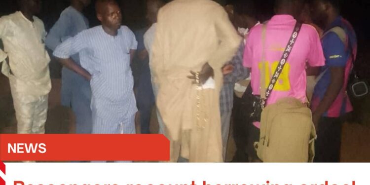 Passengers recount harrowing ordeal after being stranded overnight by Borno Express bus
