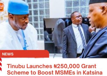 Tinubu Launches ₦250,000 Grant Scheme to Boost MSMEs in Katsina State