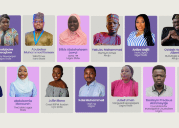 DPI Journalism Fellowship 2025