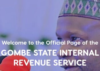 Inside Gombe Tax Portal Where Chief Judge, Speaker, Other Taxpayers TINs Are Exposed