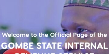 Inside Gombe Tax Portal Where Chief Judge, Speaker, Other Taxpayers TINs Are Exposed