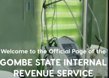 How Sub-national Digital Public Infrastructure Drives Revenue—and Risk