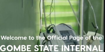 How Sub-national Digital Public Infrastructure Drives Revenue—and Risk