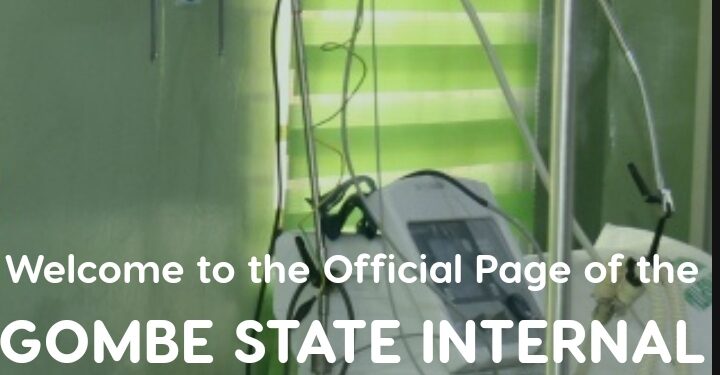 How Sub-national Digital Public Infrastructure Drives Revenue—and Risk