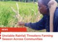 Unstable Rainfall Threatens Farming Season Across Communities