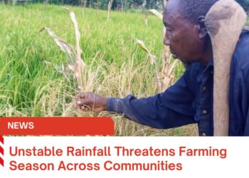 Unstable Rainfall Threatens Farming Season Across Communities