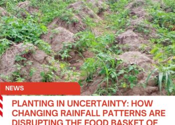 PLANTING IN UNCERTAINTY: HOW CHANGING RAINFALL PATTERNS ARE DISRUPTING THE FOOD BASKET OF THE NATION